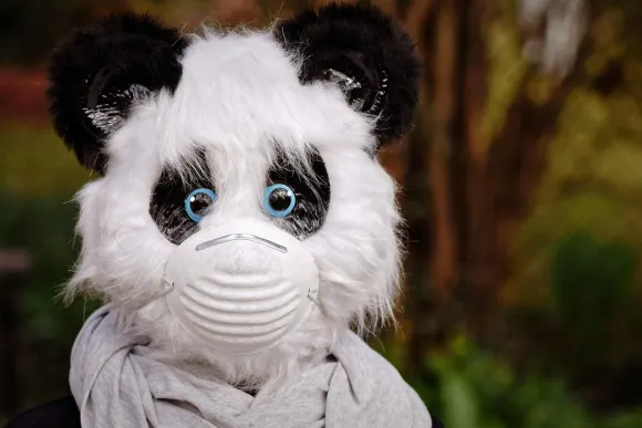 Unibet Casino Ondersteuning